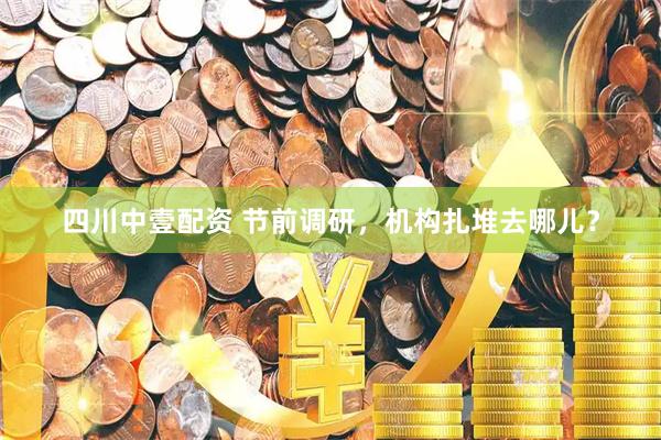 四川中壹配资 节前调研，机构扎堆去哪儿？