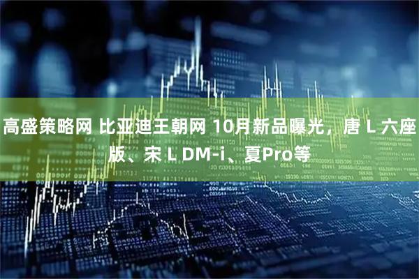 高盛策略网 比亚迪王朝网 10月新品曝光，唐 L 六座版、宋 L DM-i、夏Pro等
