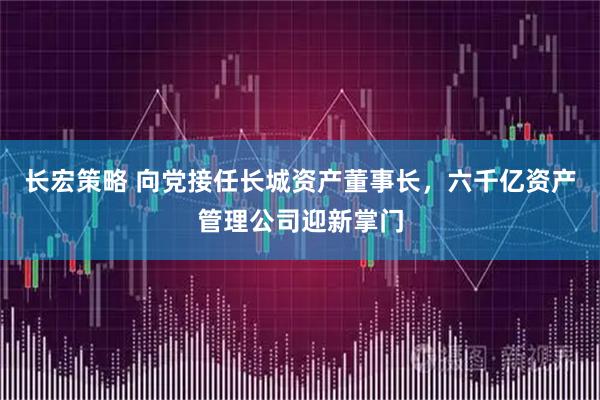 长宏策略 向党接任长城资产董事长，六千亿资产管理公司迎新掌门